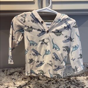 Dinosaur Print Kids Hoodie